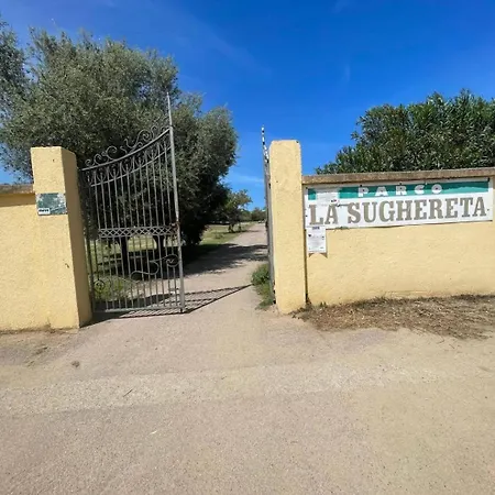 度假居 A Casa Di Mary A 2 Passi Dal Mare
